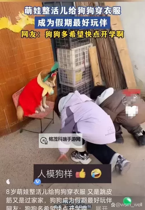 在破房子里和狗做：荒废之地的秘密时光图1