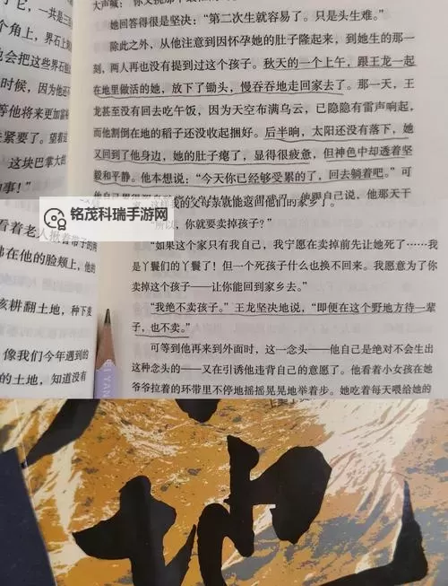 探索大地中文：完整五页内容解析与精彩亮点图1