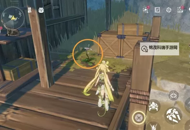 《鸣潮》金阳凤获取攻略 金阳凤怎么获得图1