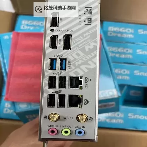 探索鱿鱼网BY66626：你的海鲜趣味新体验图1