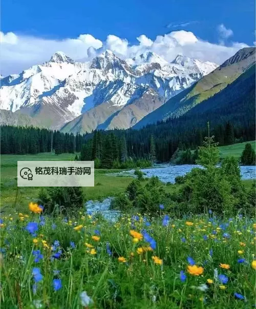 2023中国黑帮老大排名：最新排行榜揭秘图1