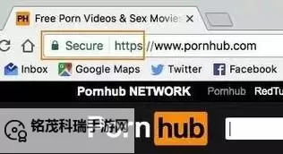 探索最优质的成人网站：安全、多样与隐私保障的首选指南图1