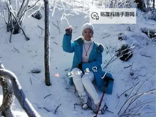 岳开始迎合：从坚持到底到策略转变的转折之路图1