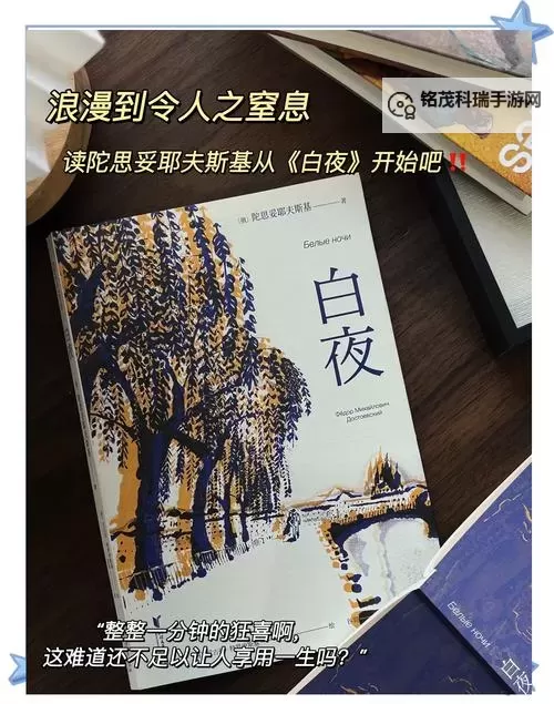 白夜 画面及解谜体验图文心得图1