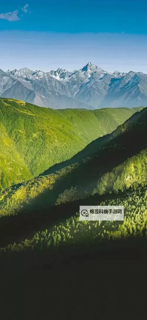 2023中国黑帮老大排名：最新排行榜揭秘图2