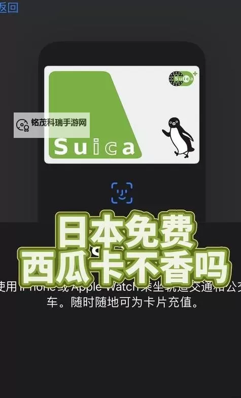 中欧乱码卡一卡二卡三解析：解决方案与实用指南图1