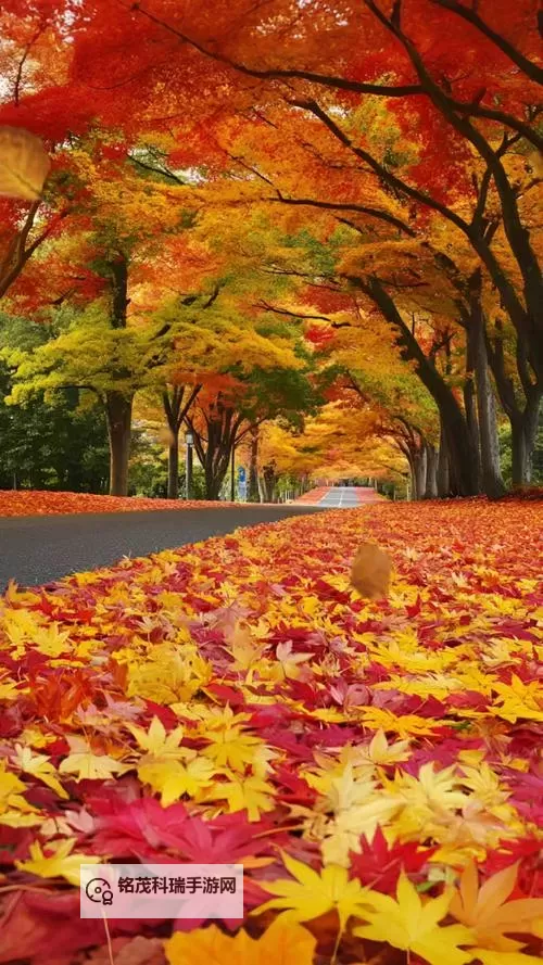 探索全新娱乐体验：X8X8拨牐拨牐X8免费视频8文字全解析图2