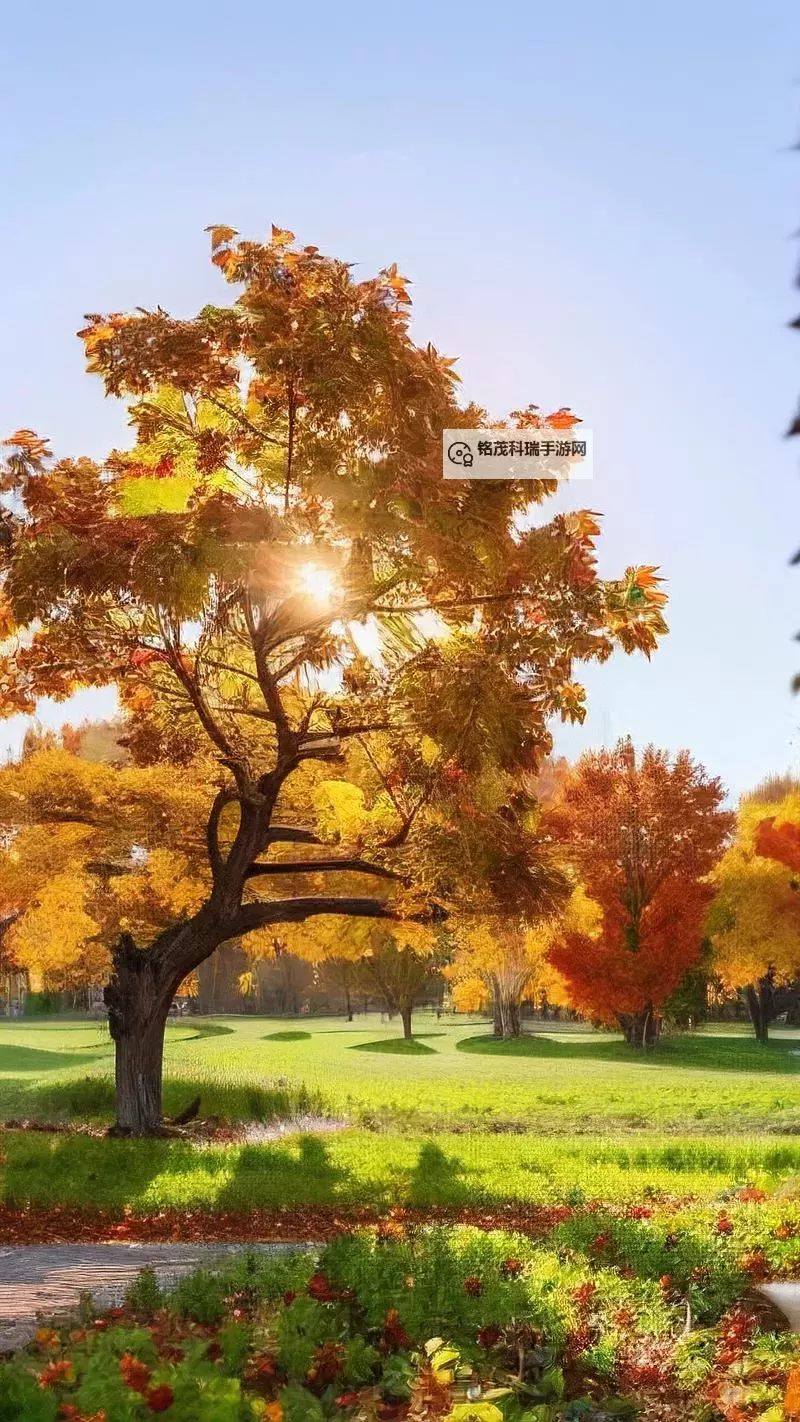 探索全新娱乐体验：X8X8拨牐拨牐X8免费视频8文字全解析图1