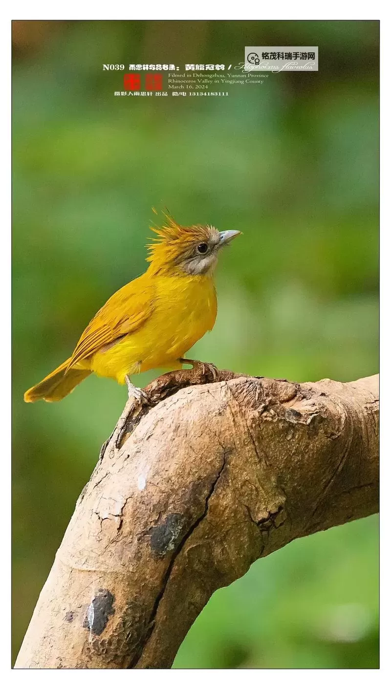 三国之无双传怎么双开  三国之无双传双开挂机软件推荐图1