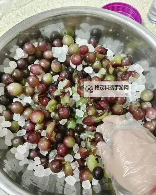 学习制作美味自制葡萄酒的视频教程推荐图1