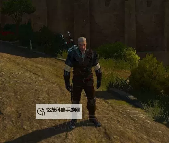 《巫师3》全学派师匠套装外观一览图1