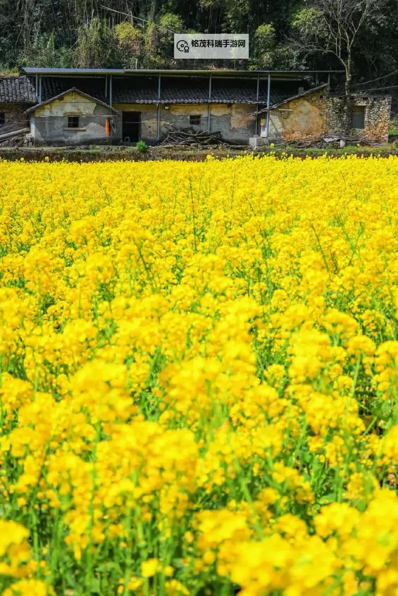 废土2 强制修理罗迪亚电塔小技巧图2