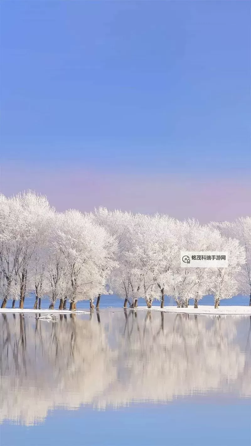 浴火战线双开挂机软件推荐  怎么双开浴火战线详细图文教程图2