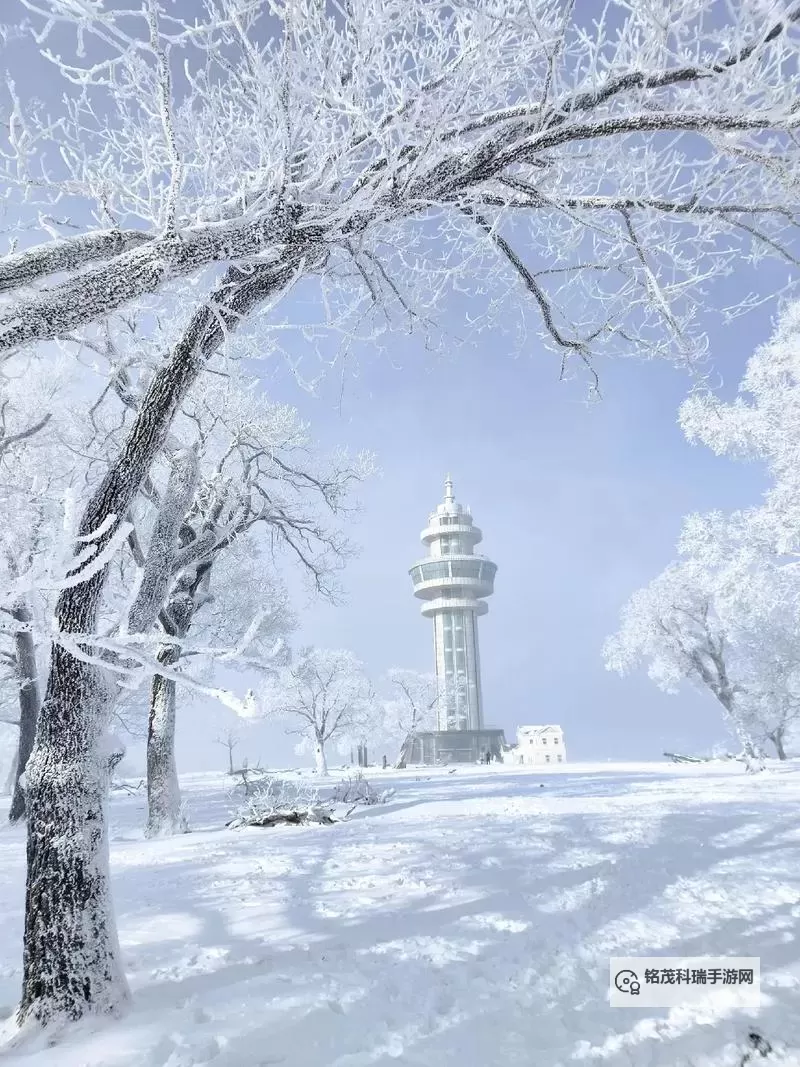 浴火战线双开挂机软件推荐  怎么双开浴火战线详细图文教程图1