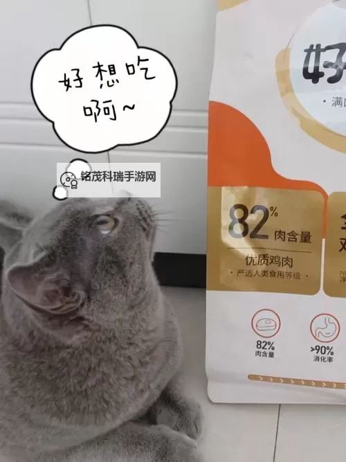 美味佳肴任你探索——尽在啊好想吃啊啊网站图1