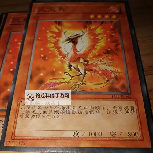 《炉石传说》火凤凰尤朵拉贼卡组分享图1