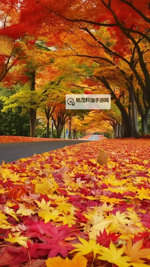 探索全新娱乐体验：X8X8拨牐拨牐X8免费视频8文字全解析图2