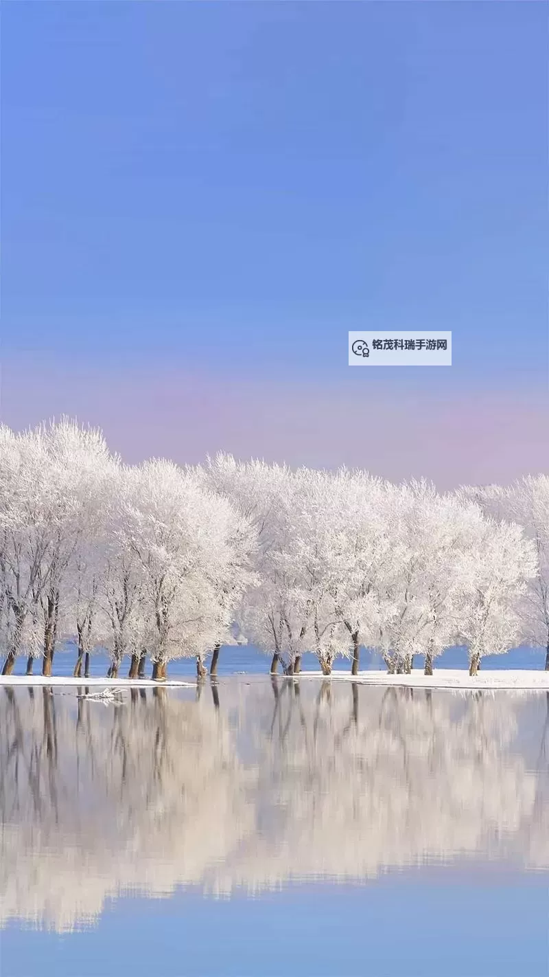 浴火战线双开挂机软件推荐  怎么双开浴火战线详细图文教程图2