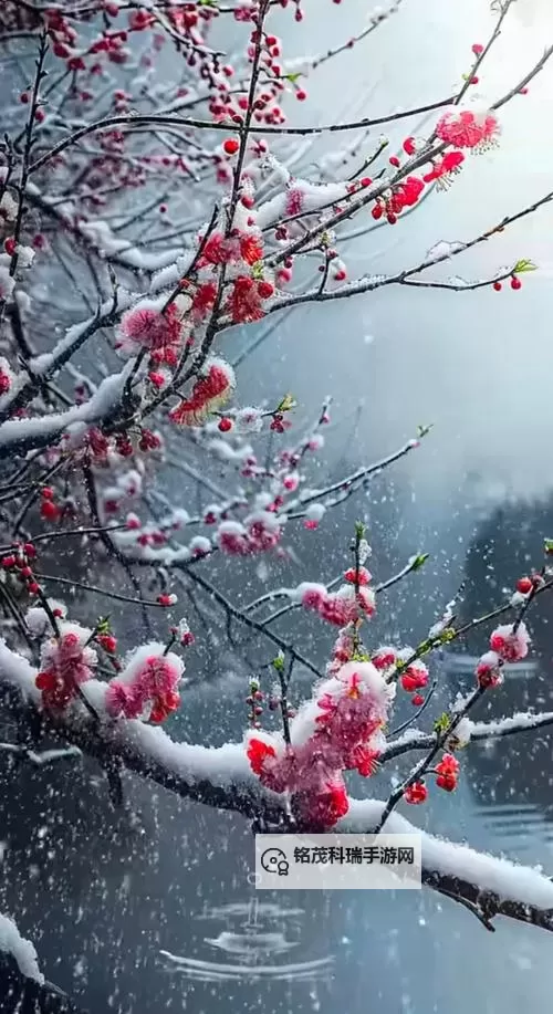 浴火战线双开挂机软件推荐  怎么双开浴火战线详细图文教程图1