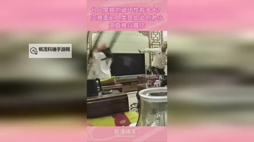 【热门推荐】www在线观看一起草，精彩内容一网打尽图1