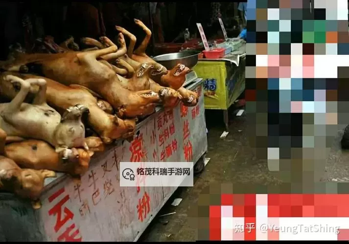 人狗畜禽Company Limited:推动现代畜牧业的创新者图1