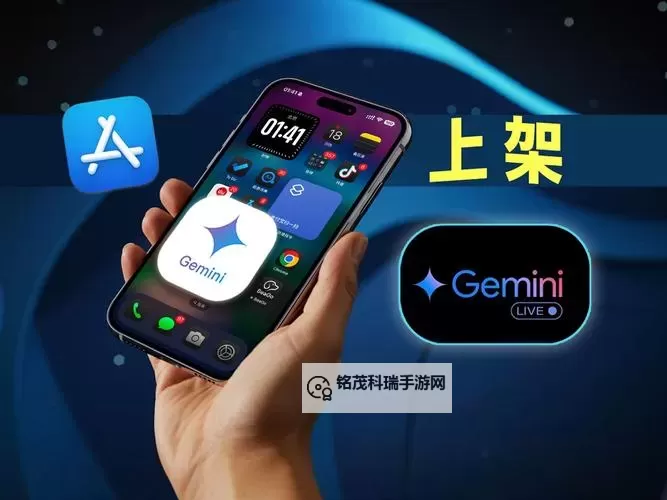 有没有双子 Gemini双开软件推荐 深度解答如何双开双子 Gemini图1