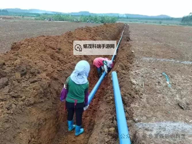 提升农业效益：优质灌溉系统唐宁助力现代农业发展图1