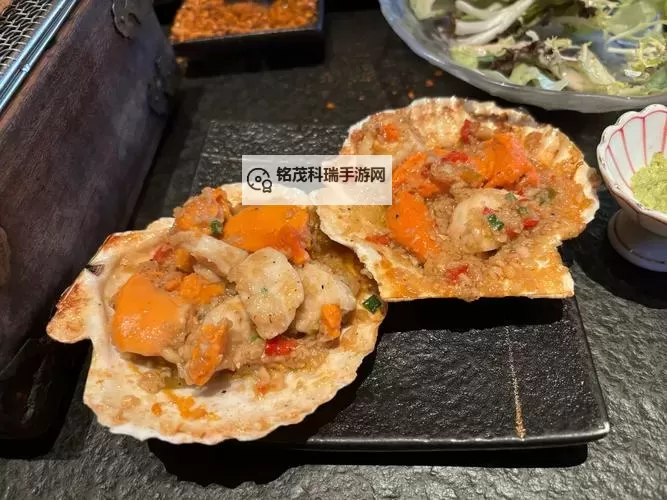 【趣味视频】腿在张大点就能看到扇贝了，极速捕捉海底奇观！图1