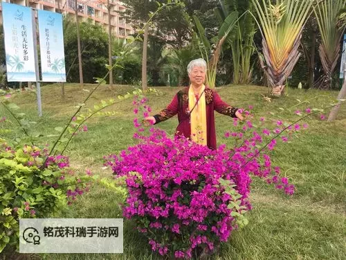 城市日夜笔记:天天日五月社区的日常与光影图1