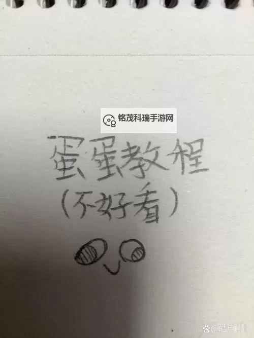 怎样玩好自己的蛋：打造完美生活的实用指南图1