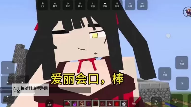 我的世界珍妮视频在线观看：在方块世界中的建造与探险之旅图1