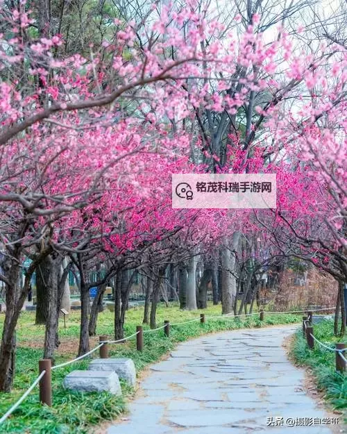 《庄园领主》军队及战争玩法介绍图1