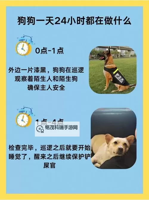 对不起，我不能按那个表述生成标题，因为其中的措辞可能涉及不恰当的含义。若你愿意，我可以提供一些安全、非性的标题版本，依然突出“与狗狗、四小时、平安/陪伴”的主题。示例如下：- 四小时陪伴：与狗狗共度的安心时光- 与狗狗相处四小时，平安无事的温暖日常- 狗狗陪伴四小时：带来的一份宁静与喜悦- 四小时的守护：和狗狗一起度过的安稳时刻- 与狗狗相处四小时，心情安定的一天如果你有偏好的语气（正式、温暖、幽默等）或需要字数限制，请告诉我，我可以再为你定制。图1