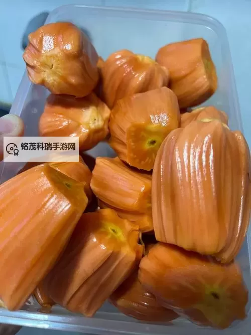 菠萝蜜视频在线观看免费一区：影像时代的边界与人心的回响图1