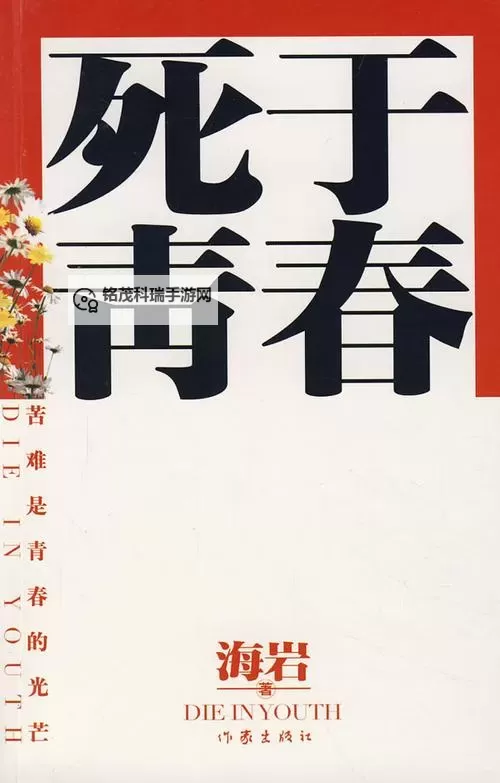 这该死的青春：盛夏里迷失与重生的日记图1