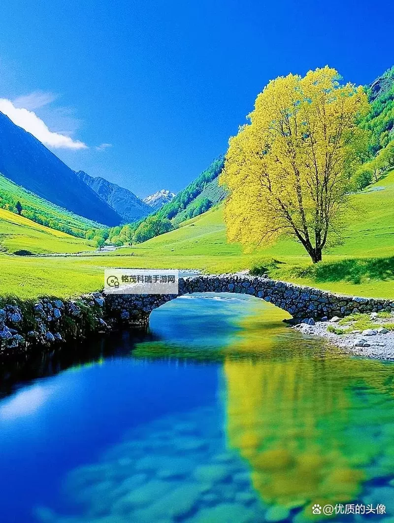 《暗黑破坏神4》防御逻辑详解图1