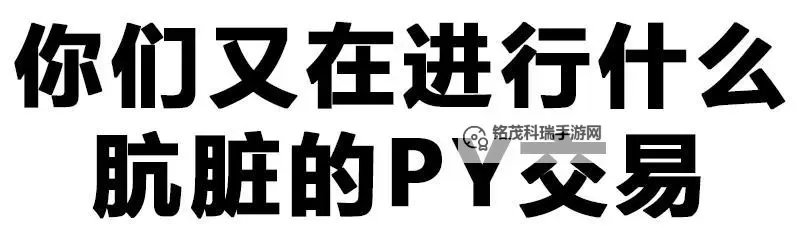 夜幕下的谜题：最污的3个字ckn的传说图1