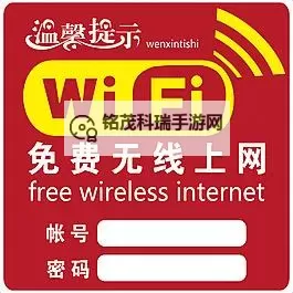 光影穿行：中文无线高清六区的影像旅程图1