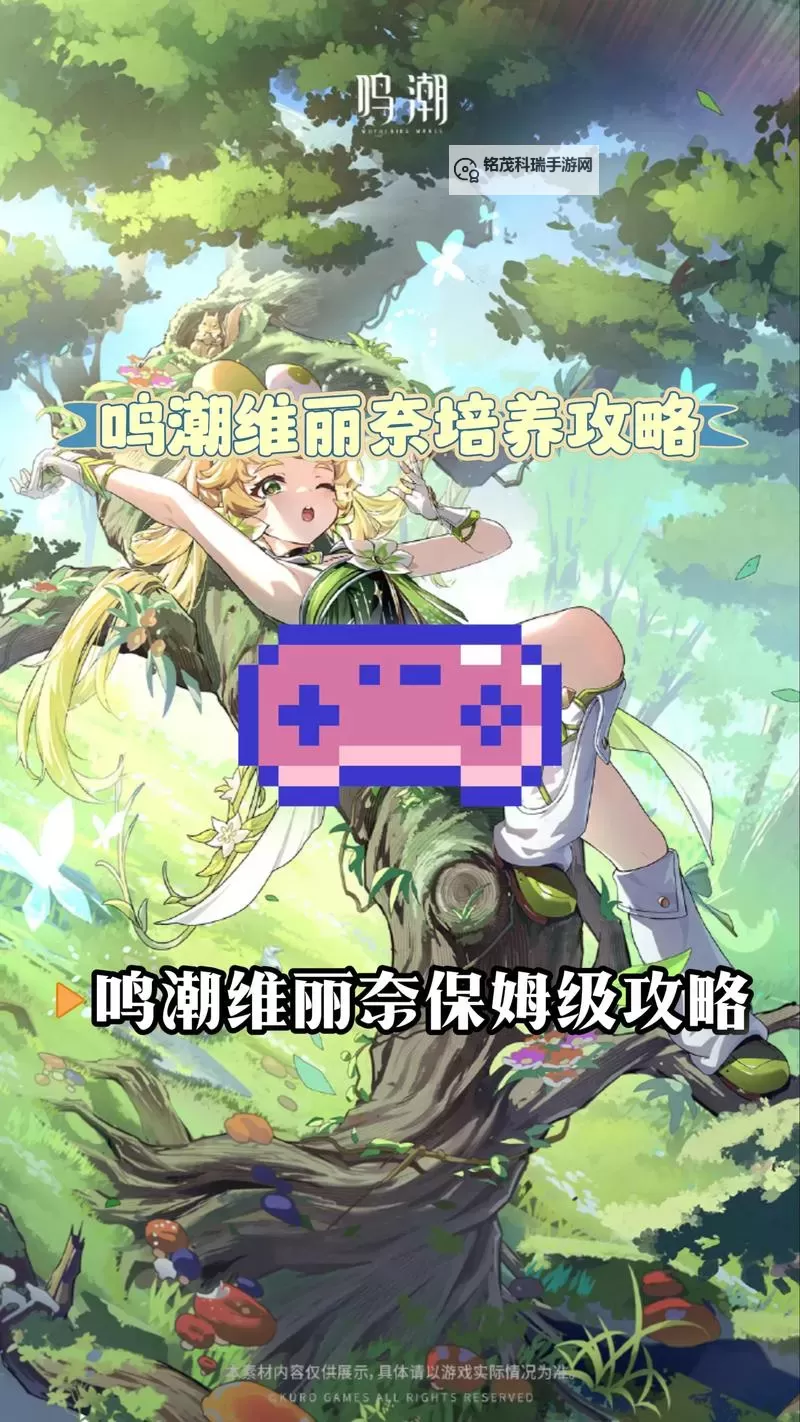 《鸣潮》维里奈养成一图流 维里奈怎么培养图2