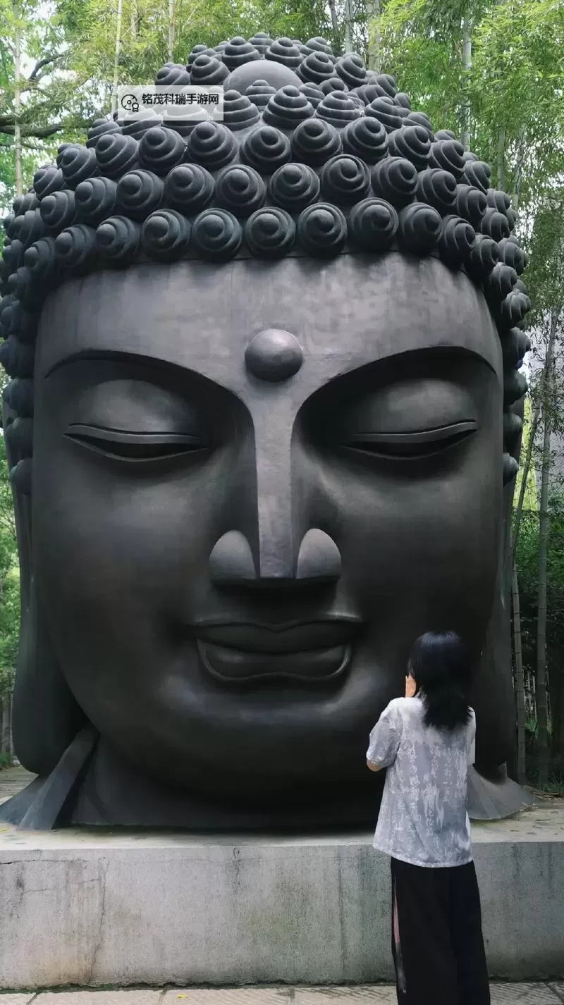 中国佛友网：在静默与慈悲之间，聆听心灵的回响图1