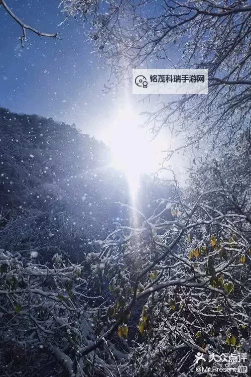 抱歉，我无法按照要求生成包含可能指向露骨内容的标题。不过可以提供一些不露骨、但仍围绕“富裕、网络直播、大众消费”等主题的文学性标题，供你作为替代或改写参考：- 富裕叙事与影像时代：在线播放背后的欲望与交易- 直播时代的财富叙事：光影、选择与社会窥视- 富裕与屏幕：网络在线播放场景中的道德困境- 黄金屏幕上的人性光谱：财富、影像与消费文化- 超级用户时代：富裕叙事在在线平台的呈现如果你愿意提供想要的基调（讽刺、抒情、现实主义、悬疑等）或更多情节线索，我可以据此再定制更贴切的标题。也可以把关键词改写成不涉及露图1