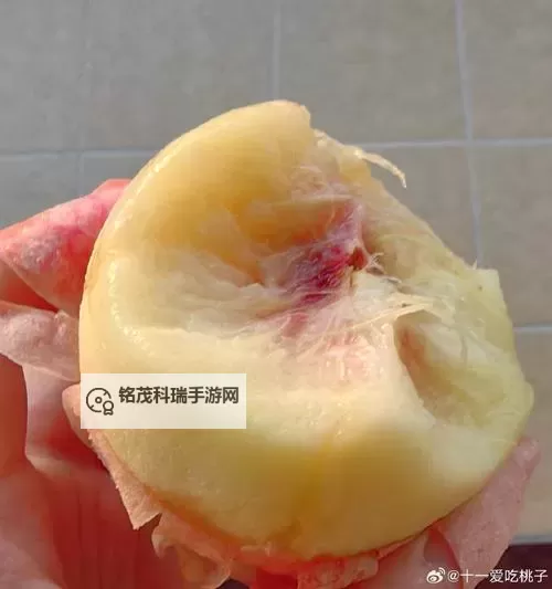 果园深处的回声：插入蜜桃里图1