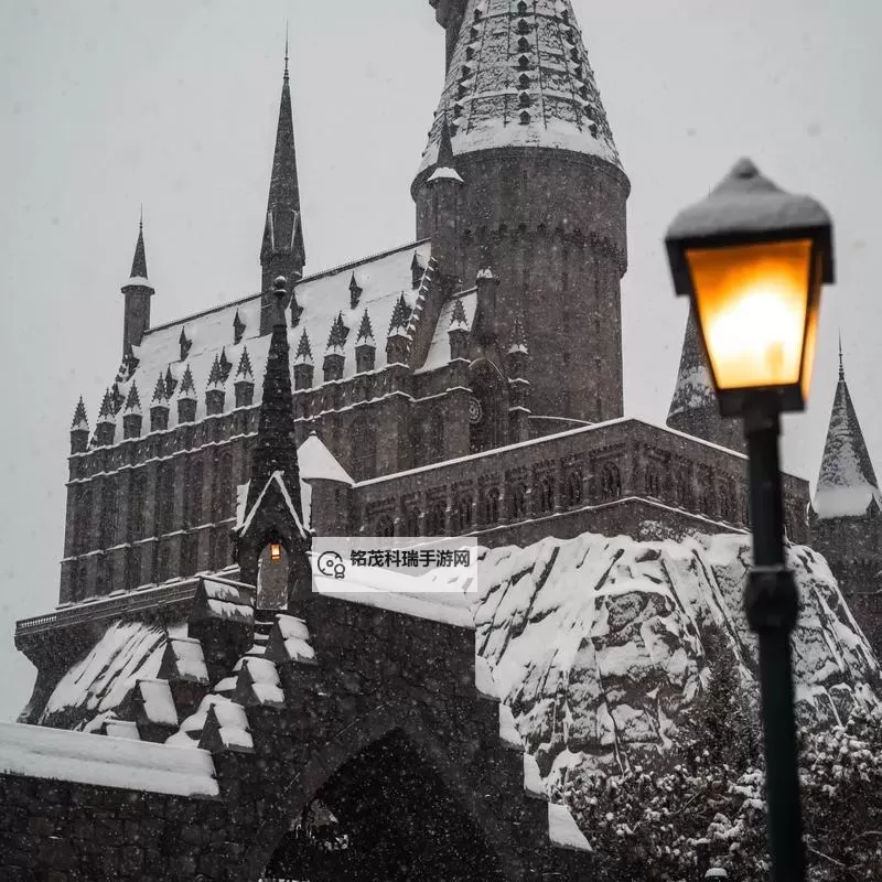 穿越纸页的低语:真的有霍格沃茨吗图1