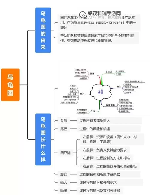 怎么提高龟灵敏度:从感官训练到环境优化的实用指南图1