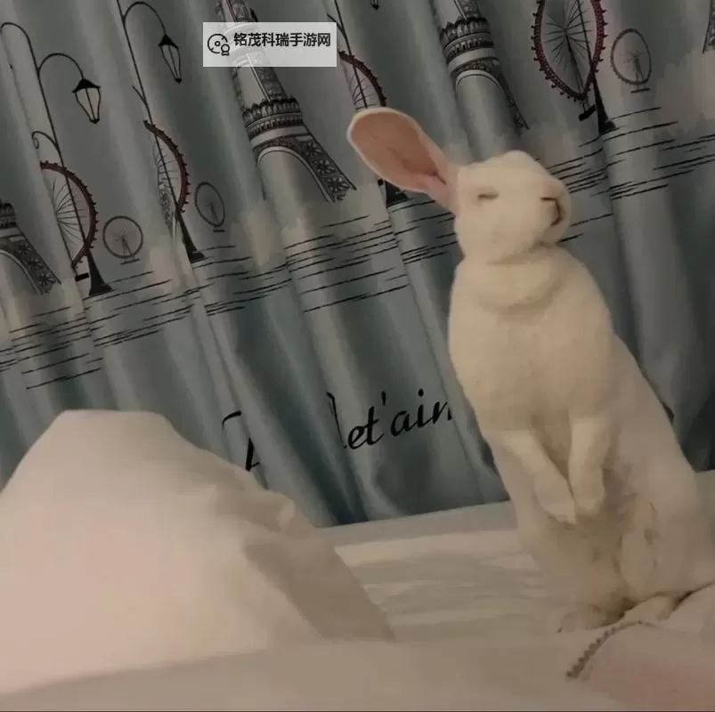 困困兔原版视频高清观看:完整版高清呈现图1