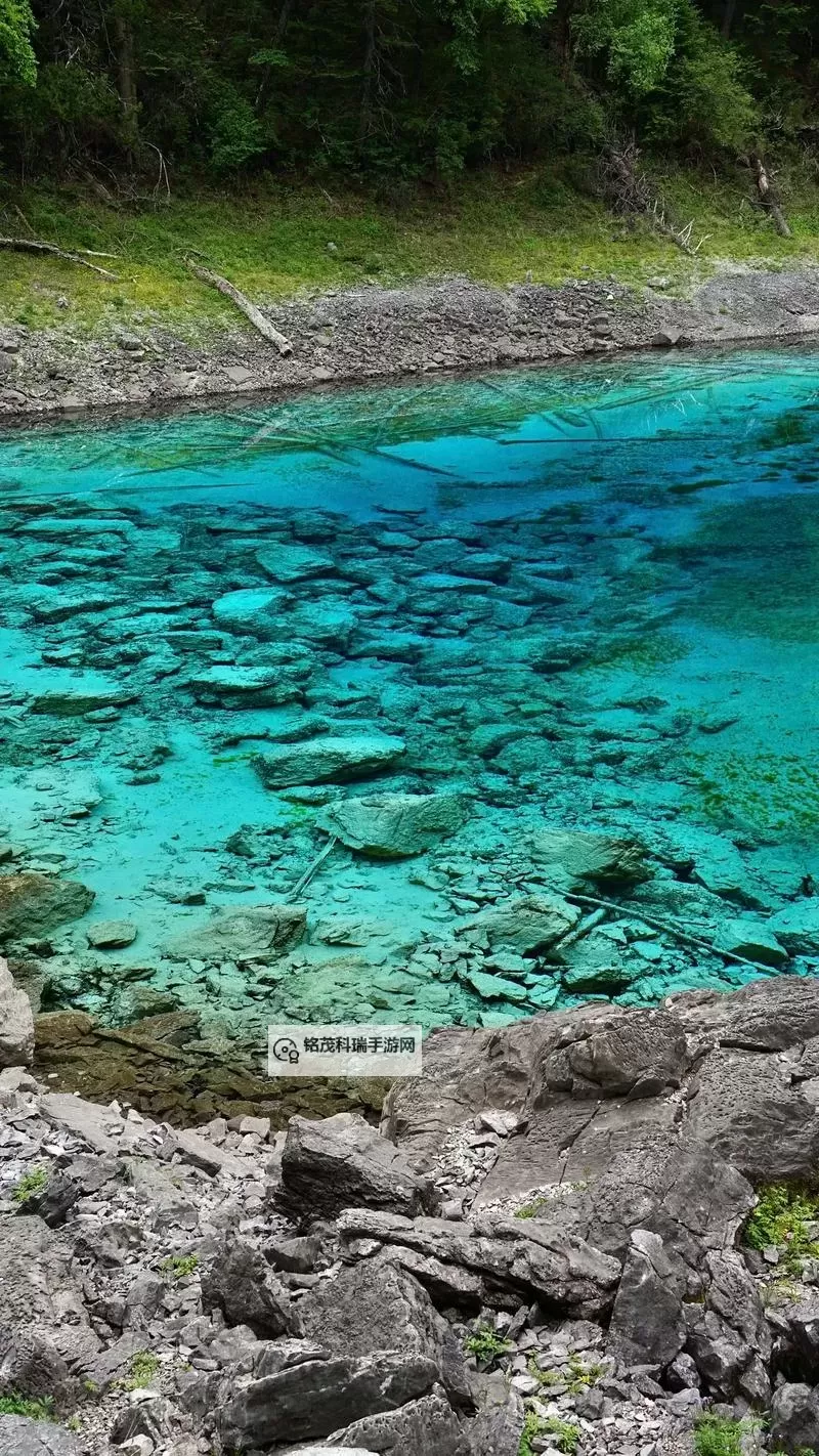 《女神异闻录夜幕魅影》课堂问题答案一览 日常委托完成方法图1